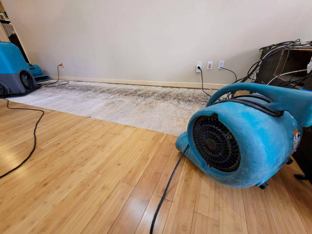 Professional Burst Pipe Water Damage technician working in Newburyport, MA